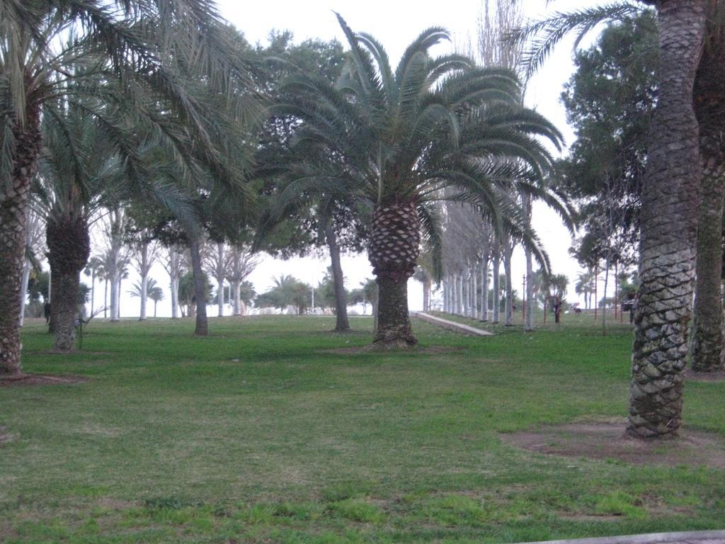 Apartamento Illa Mar Sant Carlos de la Ràpita 객실 사진
